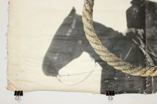 Tribute To A Bad Man German Movie Poster - Image 6