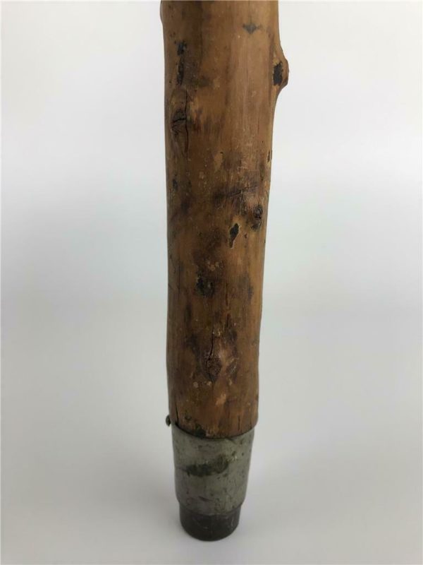 Victorian Carved Wood Dog Head Walking Stick - Image 13