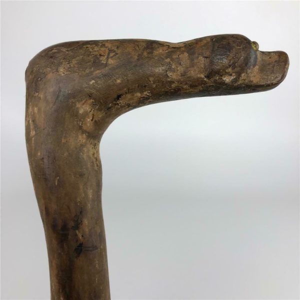 Victorian Carved Wood Dog Head Walking Stick - Image 8